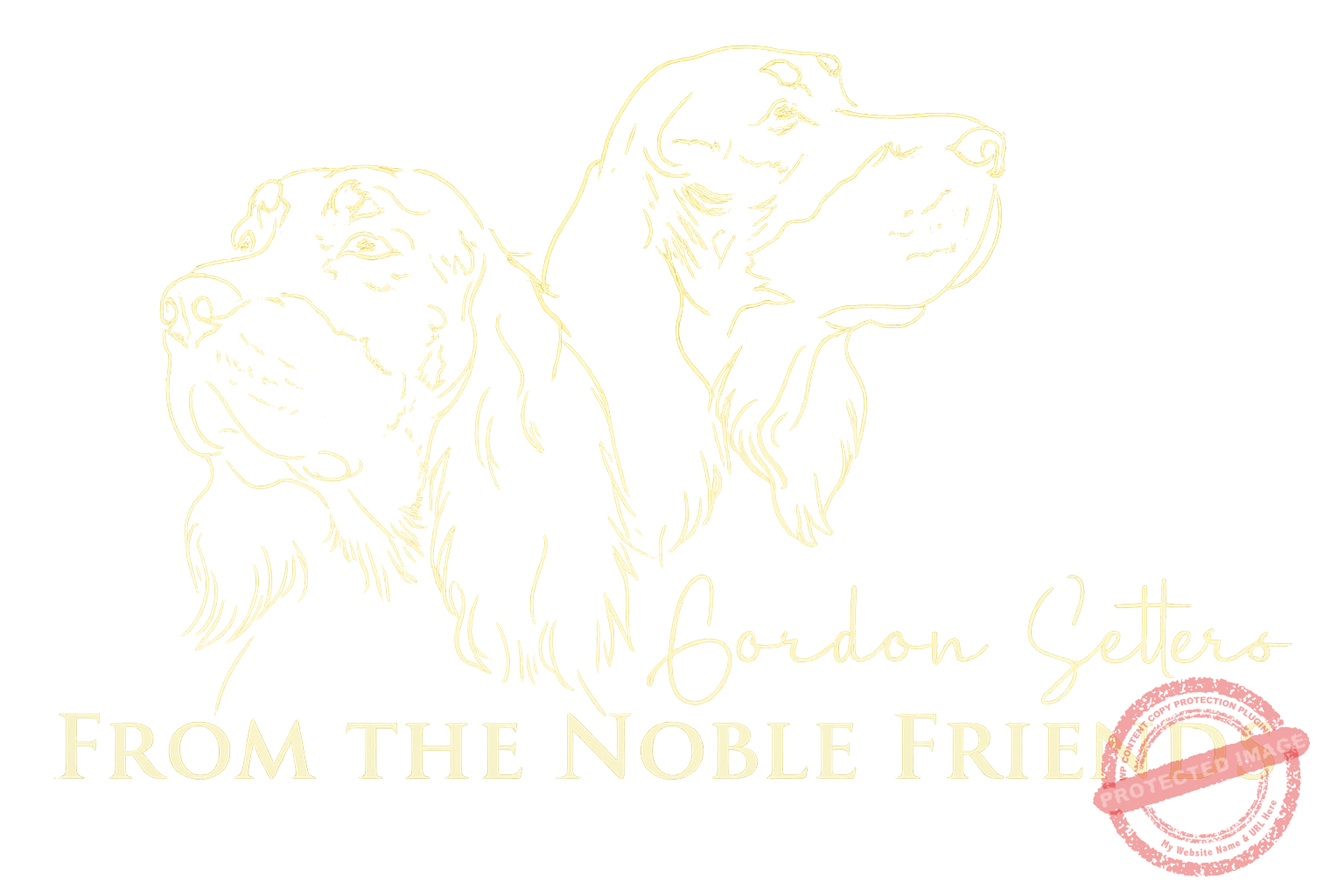 Gordon Setter From the Noble Friends